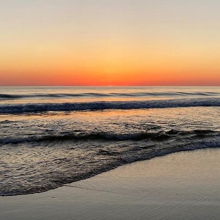 Palm Appart Biscarrosse-Plage Dış mekan fotoğraf