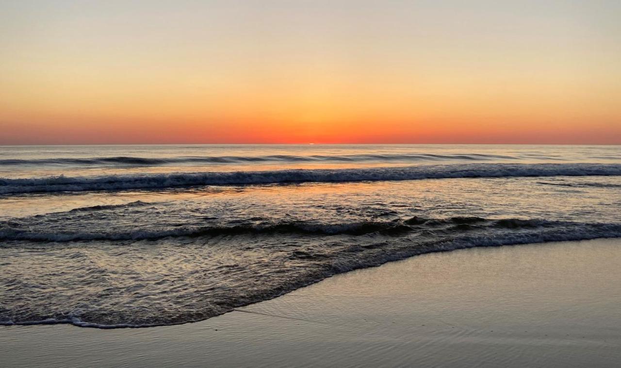 Palm Appart Biscarrosse-Plage Dış mekan fotoğraf